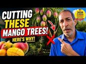 Fruitful Trees